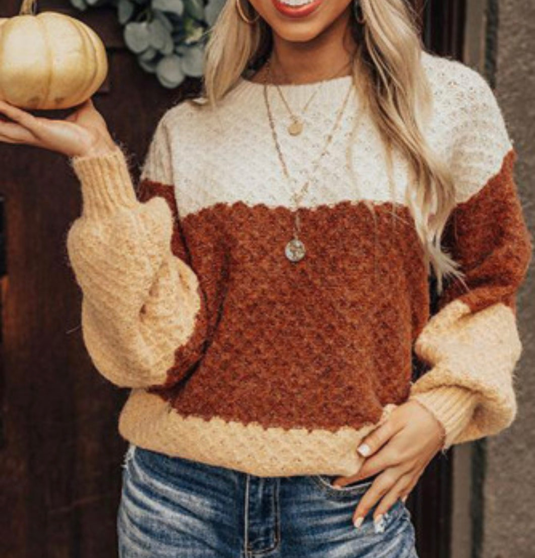 Fall Color Block Textured Sweater